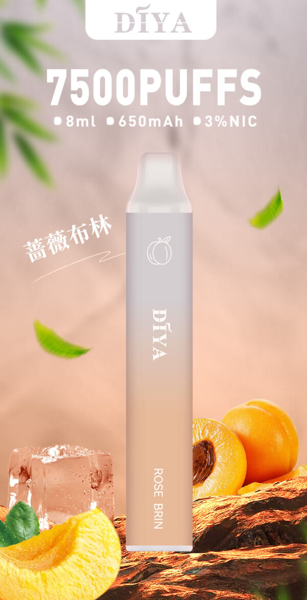 新品上市【叮啞抛棄式7500口】可充電  💖薔薇布林口味✨台灣獨家登場🔥 CP值最高 零故障 限時活動 {滿十送一}